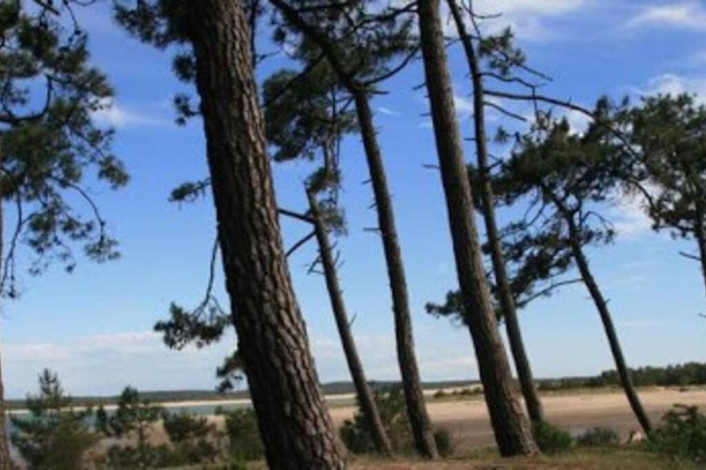 La Mariniere, 3Chb, A 500M De La Mer - St Denis Oleron La Gautrie Екстериор снимка